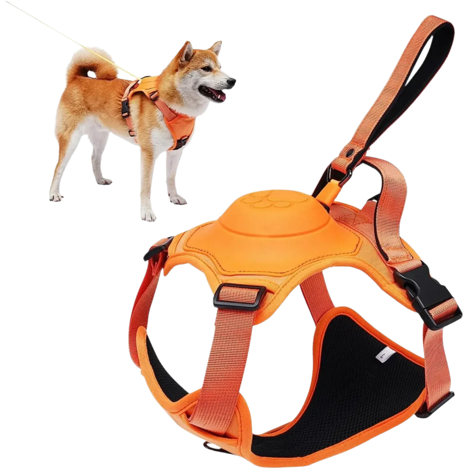 Pet Harnesses