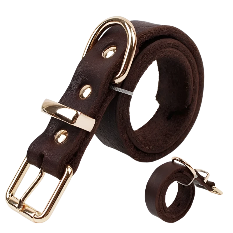 Premium leather dog collar with adjustable fit and durable metal buckle for stylish and comfortable wear