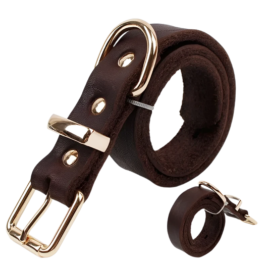 Premium leather dog collar with adjustable fit and durable metal buckle for stylish and comfortable wear