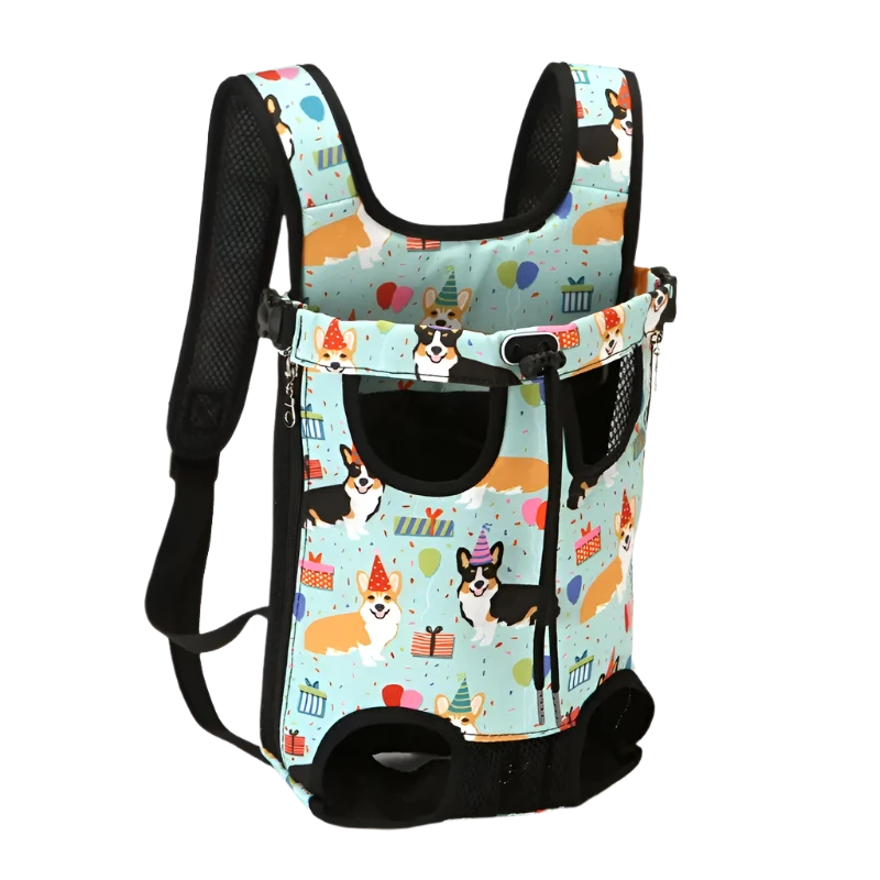 Pet Carrier Packsack