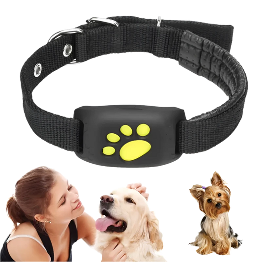 Pet GPS Tracker Collar