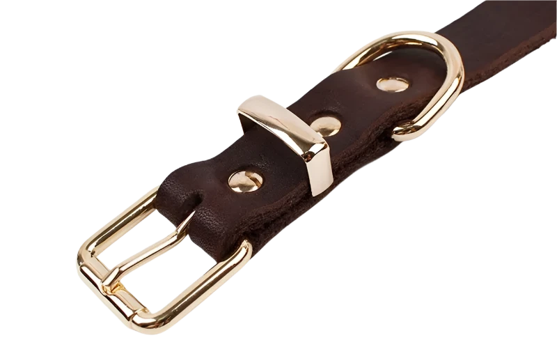 Premium leather dog collar with adjustable fit and durable metal buckle for stylish and comfortable wear