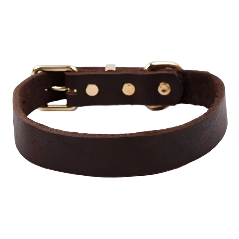 Top Grade Leather Collar