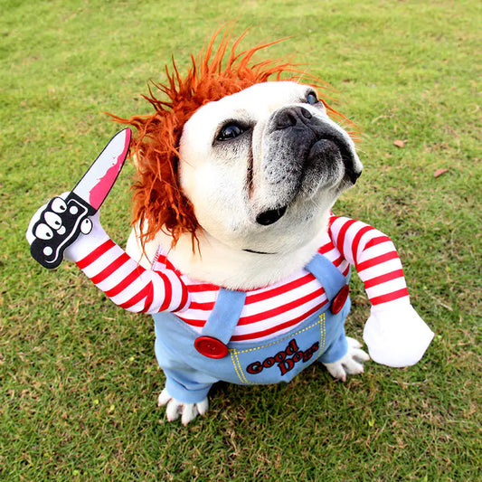 Dog wearing Chucky costume for Halloween party