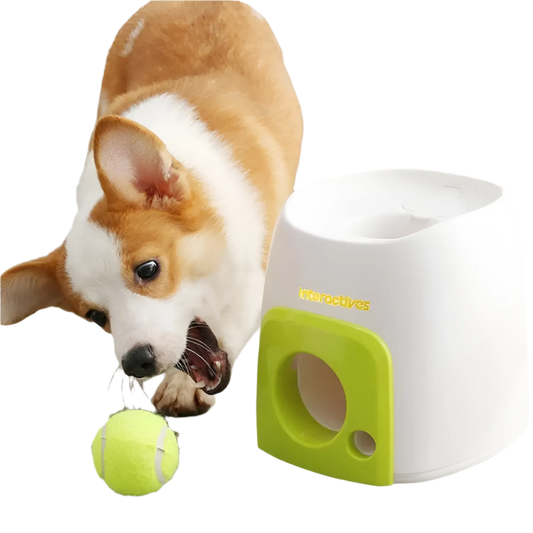 Automatic Ball Launcher for Dogs