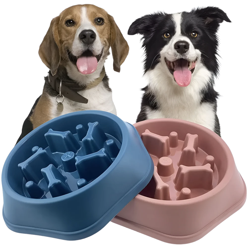 Slow Feeder Pet Bowl Bone Design: Pet-safe slow feeder bowl with a bone design, perfect for dogs and cats to reduce bloating, promote healthy eating, and prevent spills.