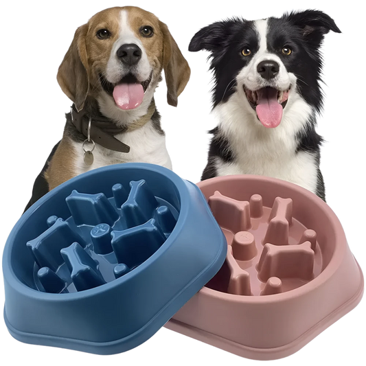 Slow Feeder Pet Bowl Bone Design: Pet-safe slow feeder bowl with a bone design, perfect for dogs and cats to reduce bloating, promote healthy eating, and prevent spills.