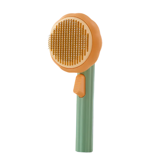 Pet Hair Remover Brush