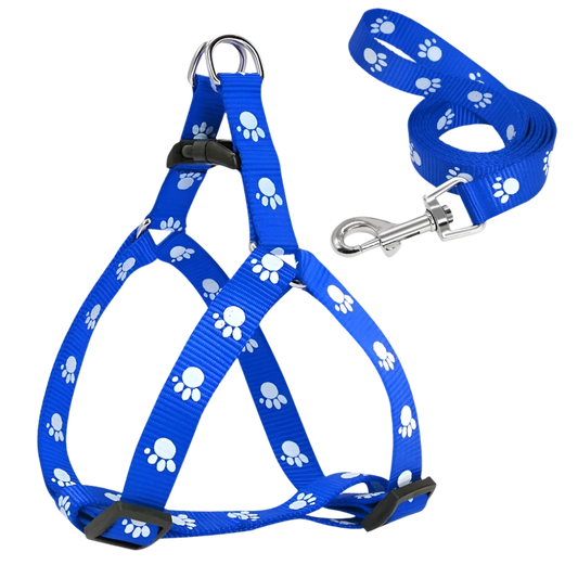 Pet accessory collection featuring the Paw Print Small Dog Harness for fashionable small breeds