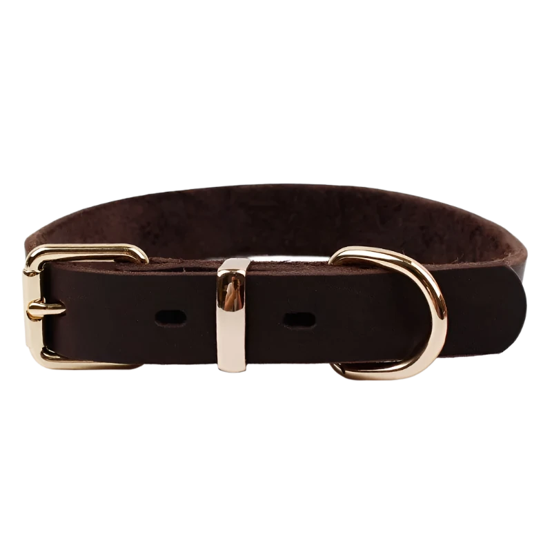 Premium leather dog collar with adjustable fit and durable metal buckle for stylish and comfortable wear